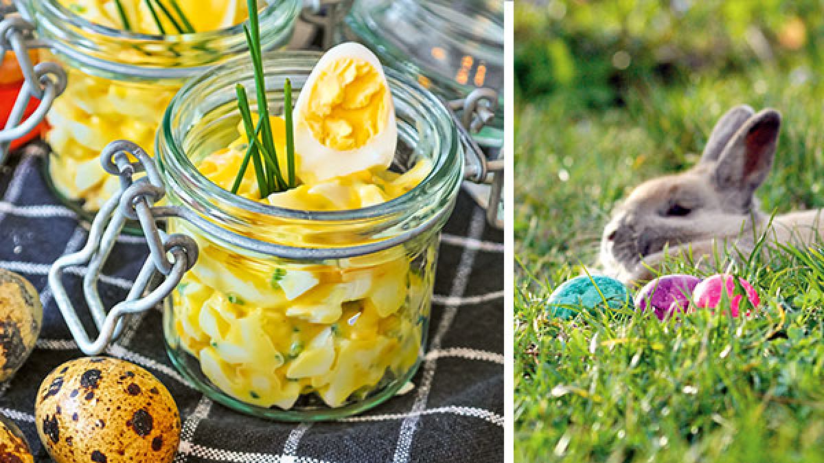 Ostern - Eiersalat mit Kunella Mayonnaise